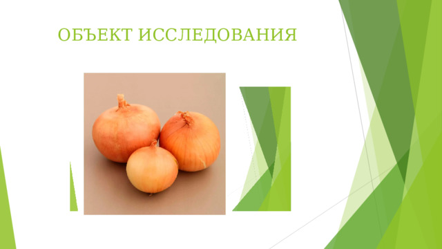 ОБЪЕКТ ИССЛЕДОВАНИЯ