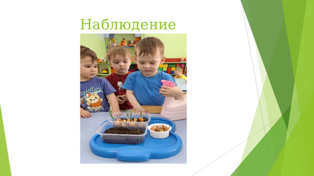 Наблюдение