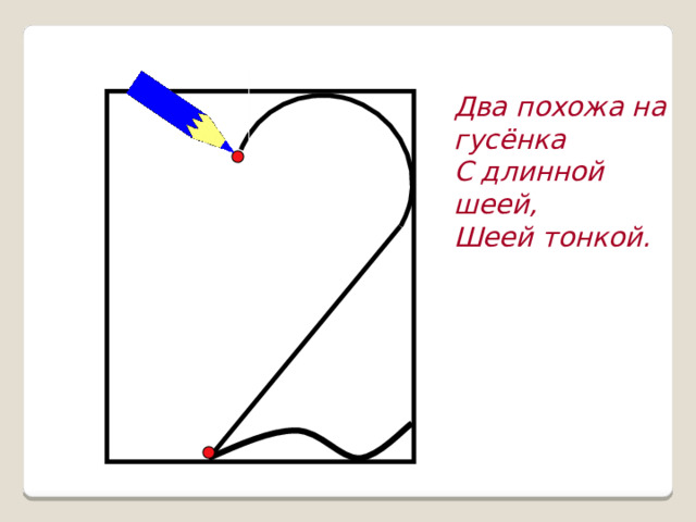 Два похожа на гусёнка С длинной шеей, Шеей тонкой.