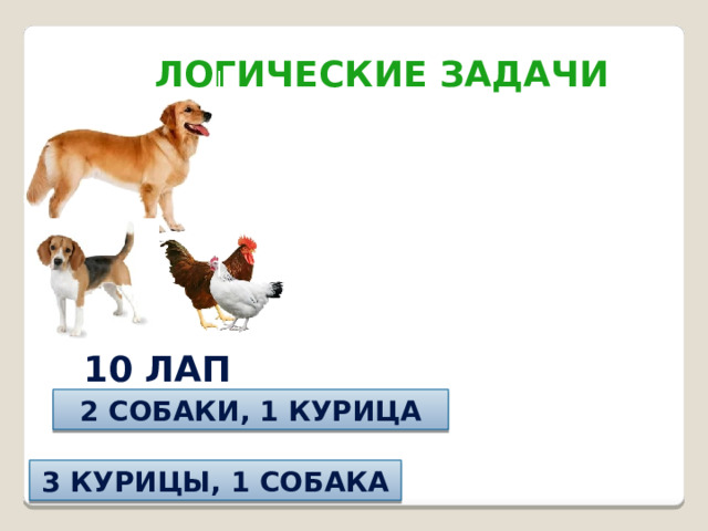 Логические задачи 10 лап 2 собаки, 1 курица 3 курицы, 1 собака