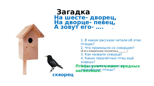 Загадка  На шесте- дворец,  На дворце- певец,  А зовут его- …. . 1. В каком рассказе читали об этих птицах? 2. Что произошло со скворцом? (В его скворечнике поселилась_______.) 3. Как назвали скворца? 4. Каких перелётных птиц ещё знаешь? 5.Какую пользу приносят перелётные птицы? Птицы уничтожают вредных насекомых. скворец