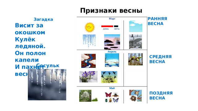 Признаки весны РАННЯЯ ВЕСНА  Загадка Висит за окошком Кулёк ледяной. Он полон капели И пахнет весной. СРЕДНЯЯ ВЕСНА Сосулька ПОЗДНЯЯ ВЕСНА