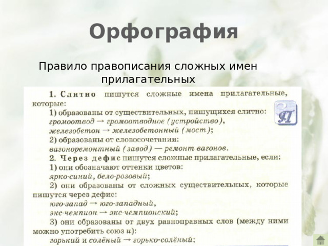 Орфография Правило правописания сложных имен прилагательных