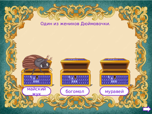 Один из женихов Дюймовочки. майский жук богомол муравей