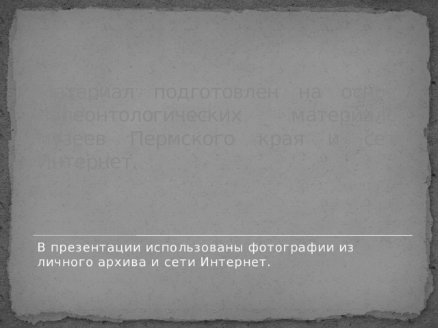 Материал подготовлен на основе палеонтологических материалов музеев Пермского края и сети Интернет. В презентации использованы фотографии из личного архива и сети Интернет.