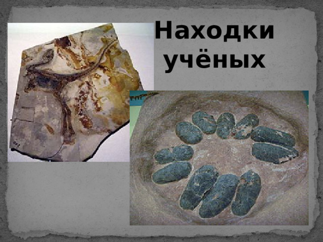 Находки учёных