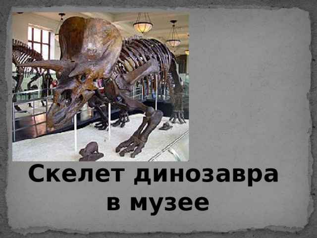 Скелет динозавра в музее