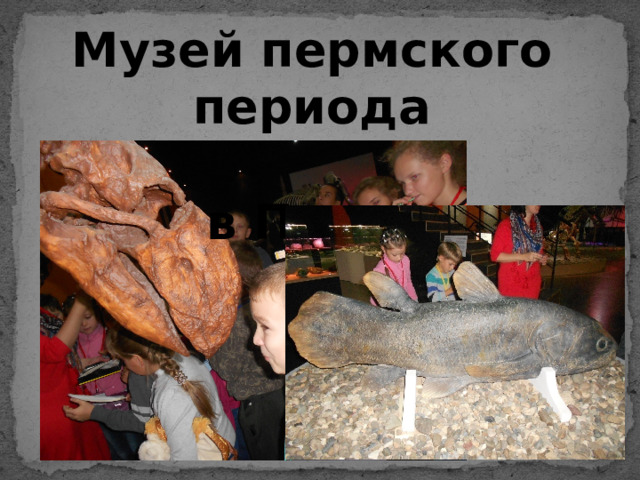 Музей пермского периода  в Перми