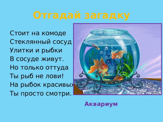 Отгадай загадку Стоит на комоде Стеклянный сосуд Улитки и рыбки В сосуде живут. Но только оттуда Ты рыб не лови! На рыбок красивых Ты просто смотри. Аквариум