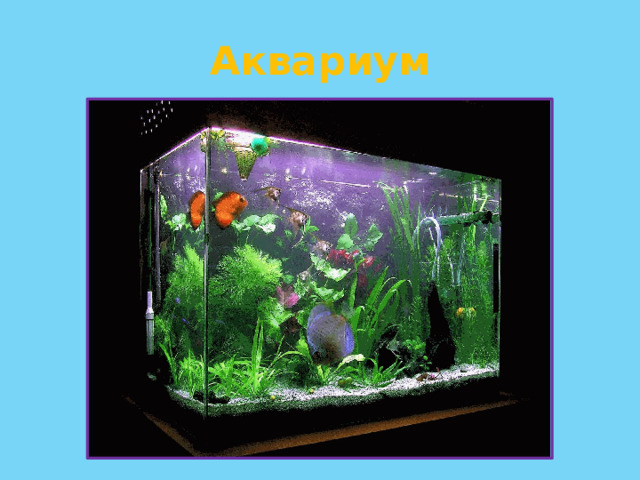 Аквариум