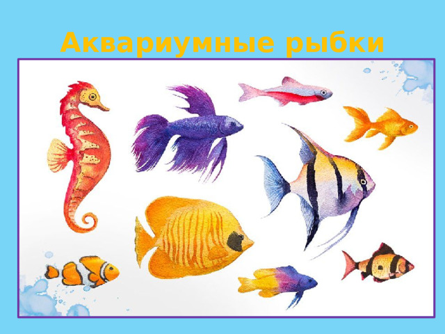 Аквариумные рыбки