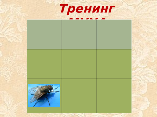 Тренинг «МУХА»