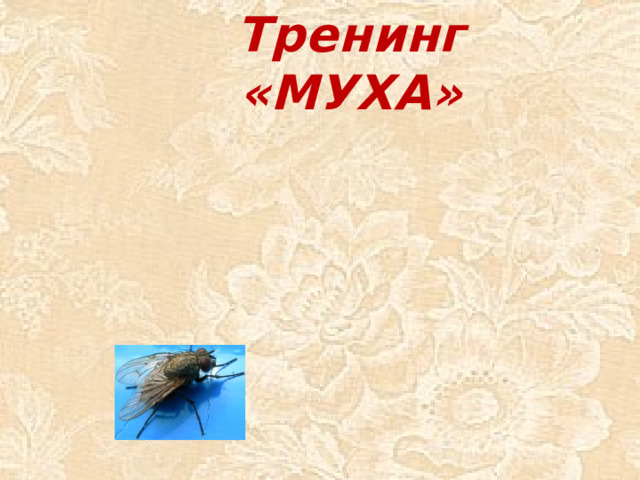 Тренинг «МУХА»