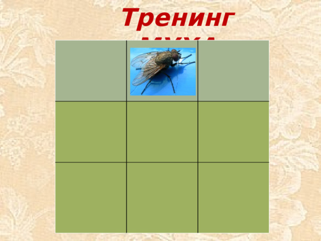 Тренинг «МУХА»