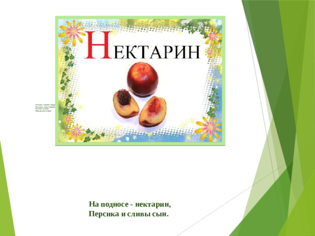 От папы - мякоть сладкая,  От мамы - кожа гладкая.  Я от вас не утаю -  Обожаю всю семью!       На подносе - нектарин,  Персика и сливы сын.