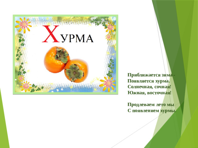 Приближается зима -  Появляется хурма.  Солнечная, сочная!  Южная, восточная!   Продлеваем лето мы  С появлением хурмы.