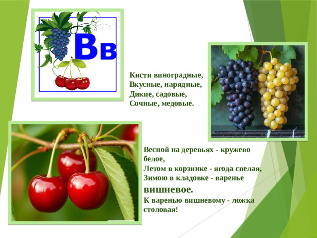 Кисти виноградные,  Вкусные, нарядные,  Дикие, садовые,  Сочные, медовые.   Весной на деревьях - кружево белое,  Летом в корзинке - ягода спелая,  Зимою в кладовке - варенье вишневое.  К варенью вишневому - ложка столовая!