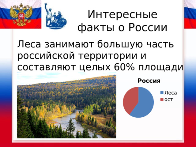 Интересные факты о России Леса занимают большую часть российской территории и составляют целых 60% площади России.