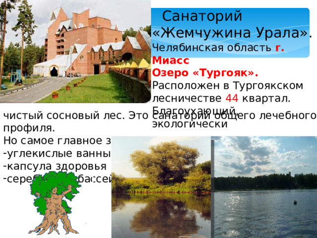 Санаторий «Жемчужина Урала». Челябинская область г. Миасс Озеро «Тургояк». Расположен в Тургоякском лесничестве 44 квартал. Благоухающий, экологически чистый сосновый лес. Это санаторий общего лечебного профиля. Но самое главное здесь есть уникальные процедуры: