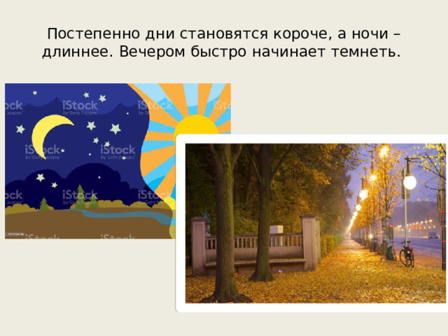 Постепенно дни становятся короче, а ночи – длиннее. Вечером быстро начинает темнеть.