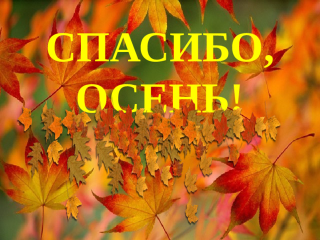 СПАСИБО,  ОСЕНЬ!
