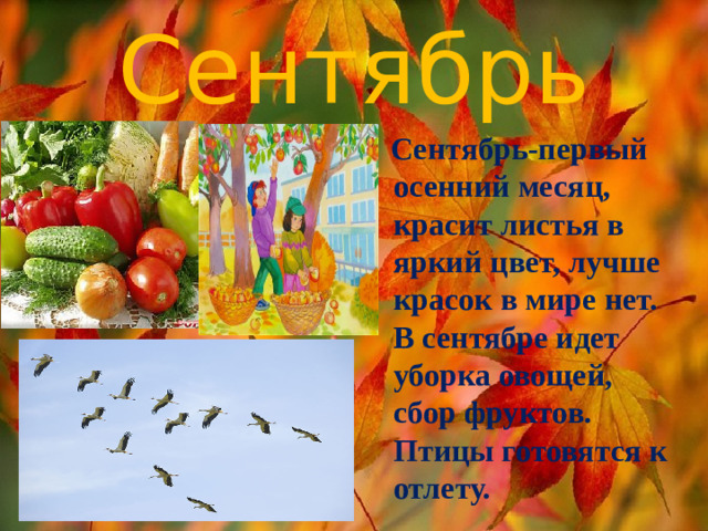 Сентябрь  Сентябрь-первый осенний месяц, красит листья в яркий цвет, лучше красок в мире нет. В сентябре идет уборка овощей, сбор фруктов. Птицы готовятся к отлету.