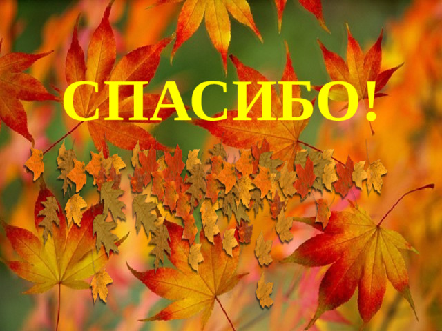 СПАСИБО!