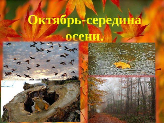 Октябрь-середина осени.
