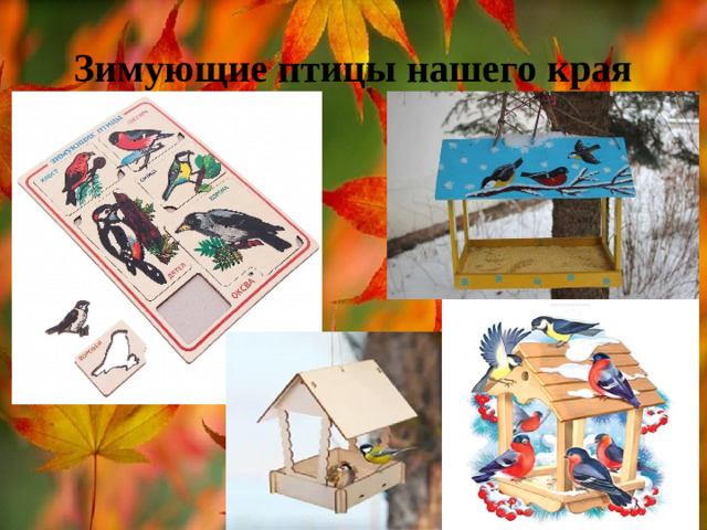 Зимующие птицы нашего края