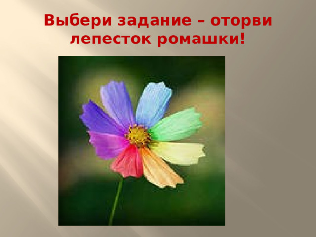 Выбери задание – оторви лепесток ромашки!