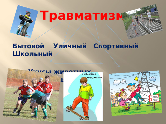 Травматизм Бытовой Уличный Спортивный Школьный   Укусы животных Экстремальный