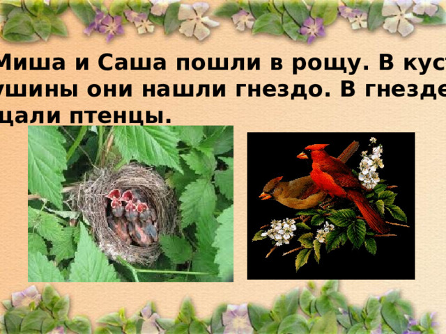 Миша и Саша пошли в рощу. В кустах крушины они нашли гнездо. В гнезде пищали птенцы.