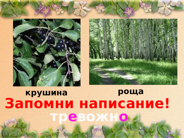 роща крушина Запомни написание! тр е вожн о
