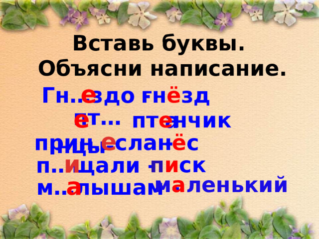 Вставь буквы.  Объясни написание.   Гн…здо -  е гн ё зда    пт…нцы-  е  пт е нчик  прин…сла -  е  н ё с   п…щали -  и  п и ск     м а ленький а  м…лышам -