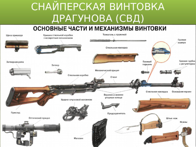 СНАЙПЕРСКАЯ ВИНТОВКА ДРАГУНОВА (СВД)