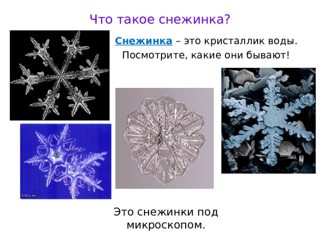 Что такое снежинка? Снежинка – это кристаллик воды. Посмотрите, какие они бывают! Это снежинки под микроскопом.