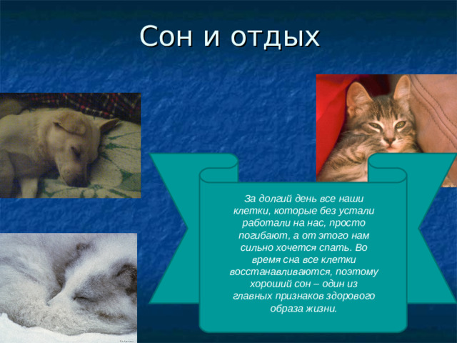 Сон и отдых За долгий день все наши клетки, которые без устали работали на нас, просто погибают, а от этого нам сильно хочется спать. Во время сна все клетки восстанавливаются, поэтому хороший сон – один из главных признаков здорового образа жизни.