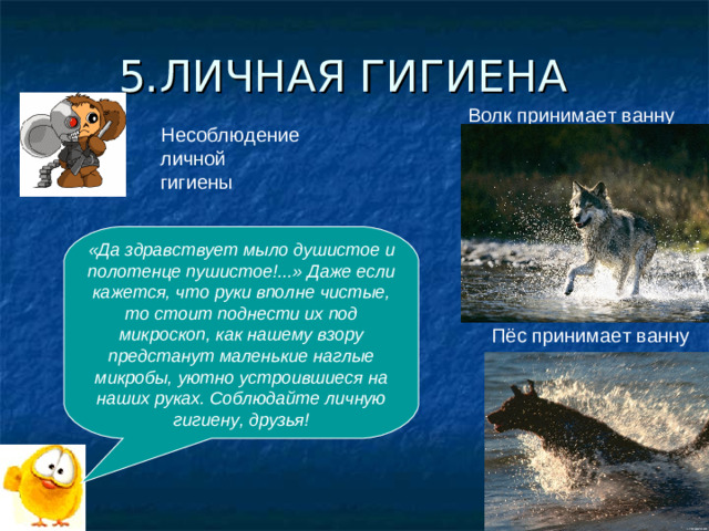 5.ЛИЧНАЯ ГИГИЕНА Волк принимает ванну Несоблюдение личной гигиены «Да здравствует мыло душистое и полотенце пушистое!...» Даже если кажется, что руки вполне чистые, то стоит поднести их под микроскоп, как нашему взору предстанут маленькие наглые микробы, уютно устроившиеся на наших руках. Соблюдайте личную гигиену, друзья! Пёс принимает ванну