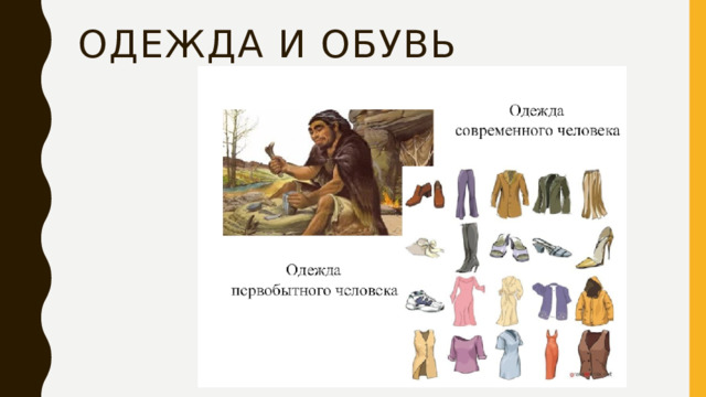 Одежда и обувь
