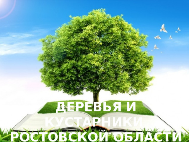 ДЕРЕВЬЯ И КУСТАРНИКИ РОСТОВСКОЙ ОБЛАСТИ