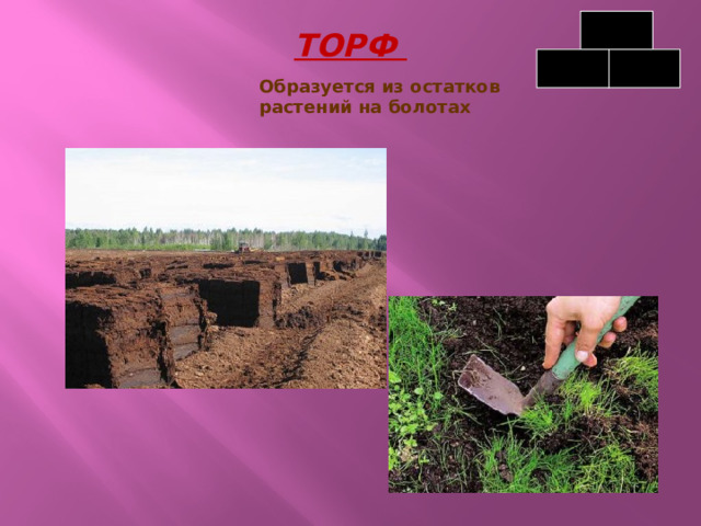 ТОРФ Образуется из остатков растений на болотах