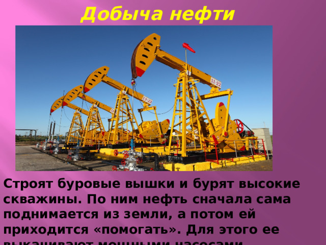 Добыча нефти Строят буровые вышки и бурят высокие скважины. По ним нефть сначала сама поднимается из земли, а потом ей приходится «помогать». Для этого ее выкачивают мощными насосами.