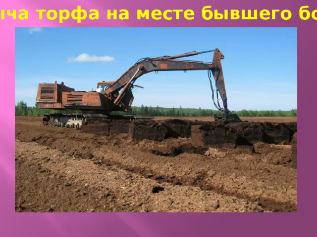Добыча торфа на месте бывшего болота