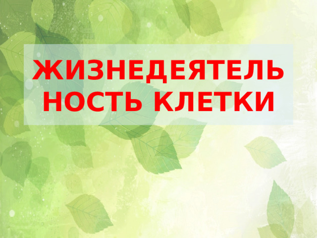 ЖИЗНЕДЕЯТЕЛЬНОСТЬ КЛЕТКИ