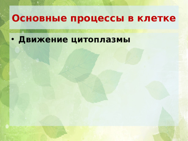 Основные процессы в клетке