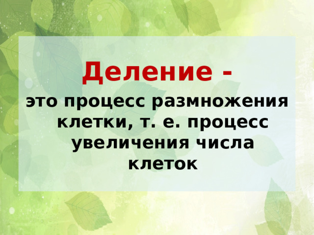 Деление - это процесс размножения клетки, т. е. процесс увеличения числа клеток