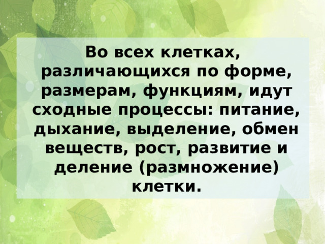 Во всех клетках, различающихся по форме, размерам, функциям, идут сходные процессы: питание, дыхание, выделение, обмен веществ, рост, развитие и деление (размножение) клетки.