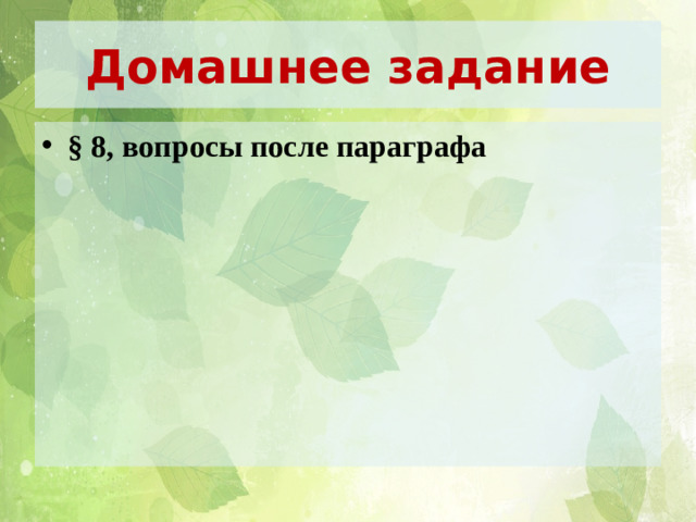 Домашнее задание