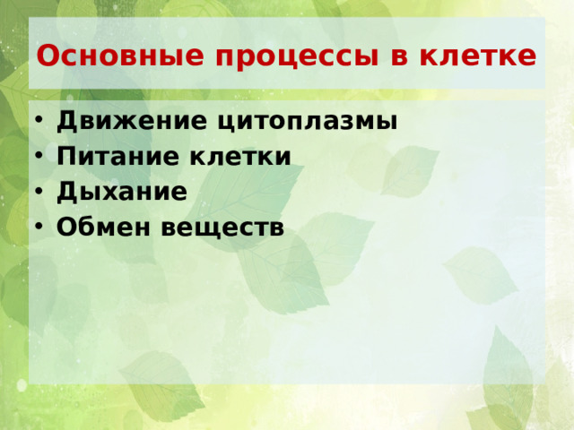 Основные процессы в клетке