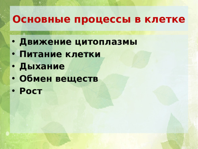Основные процессы в клетке